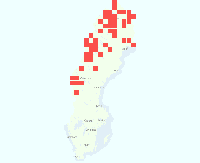Rasterkarta över utbredningen av Lapphumla